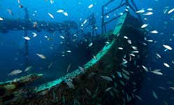 North Carolina Wreck Diving